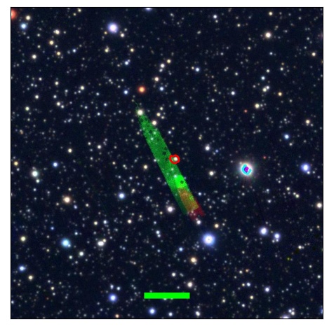 1031_051.0_contour_r