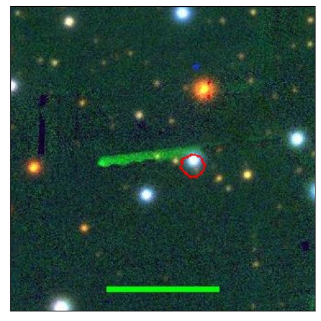 1033_021.1_contour_g