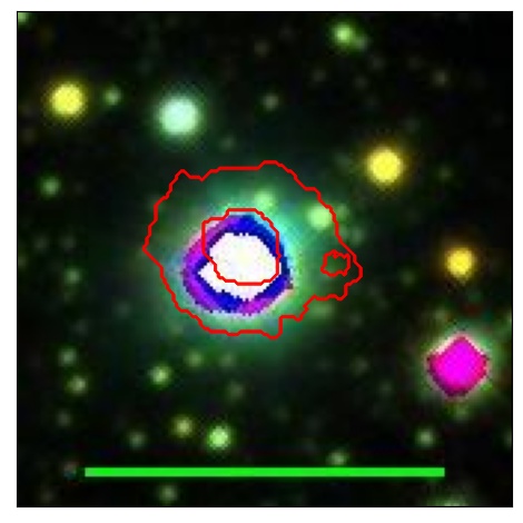 1034_031.1_contour_g