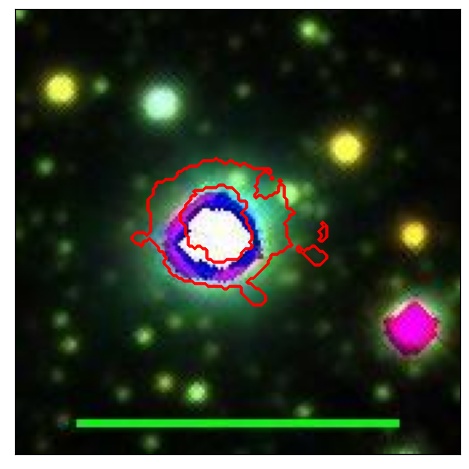 1034_031.1_contour_z