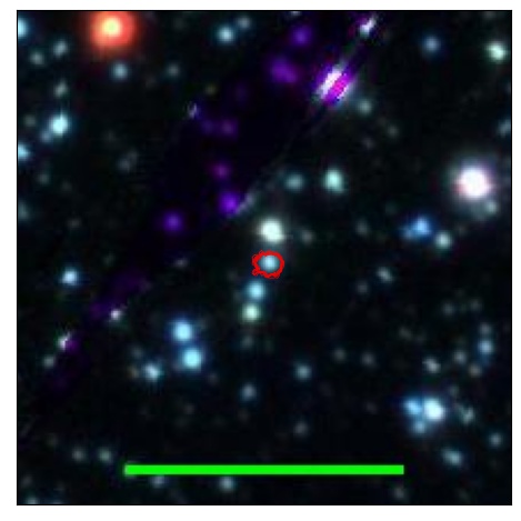 1035_019.0_contour_y