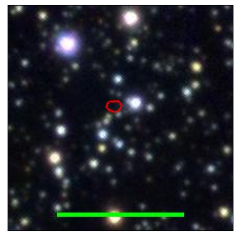 1035_038.1_contour_z