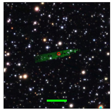 1036_007.0_contour_g