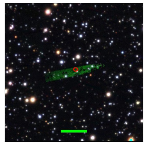 1036_007.0_contour_i