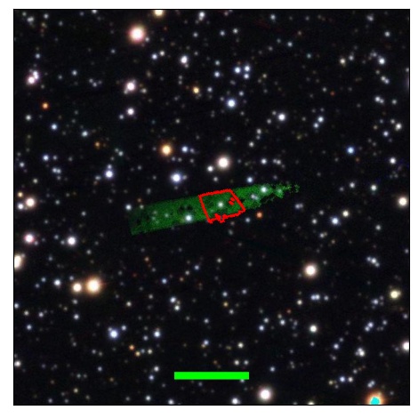 1036_007.0_contour_r