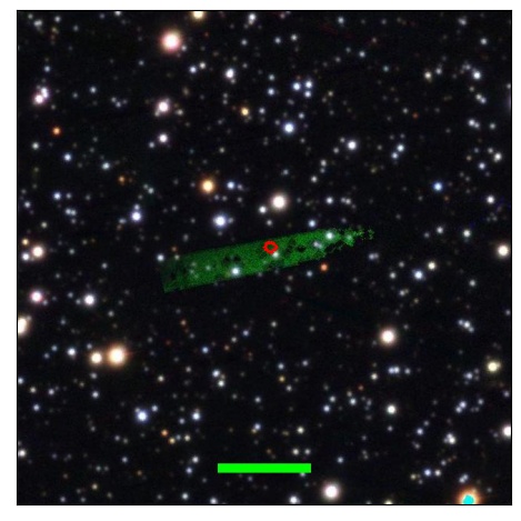 1036_007.0_contour_y