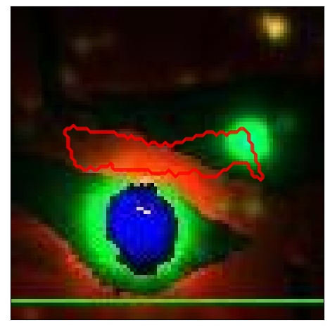 1036_061.0_contour_i