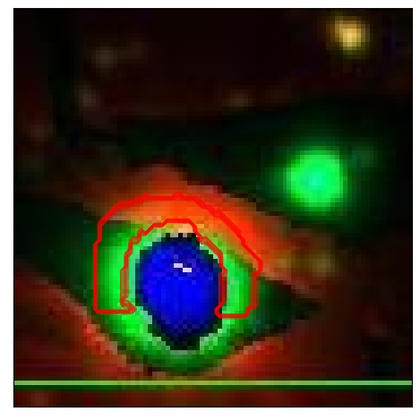 1036_061.0_contour_r