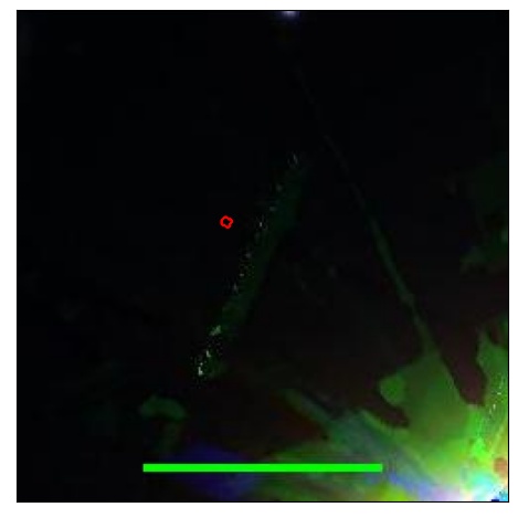 1045_095.0_contour_g