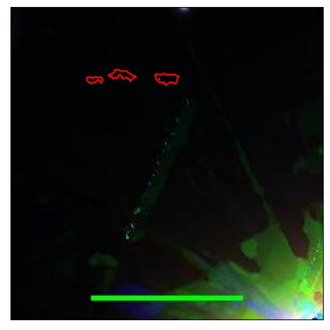 1045_095.0_contour_i