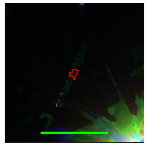 1045_095.0_contour_r