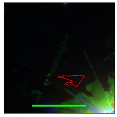 1045_095.0_contour_z