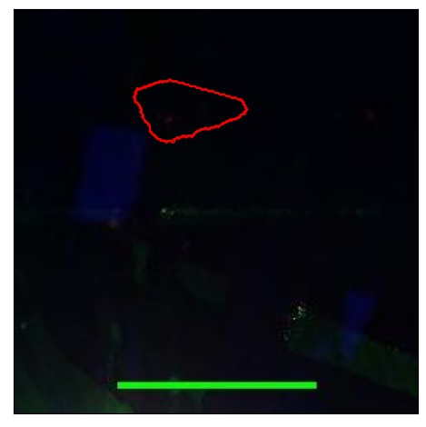 1059_015.0_contour_g