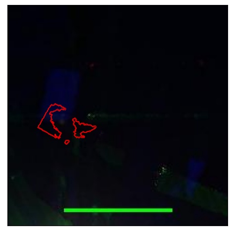 1059_015.0_contour_i