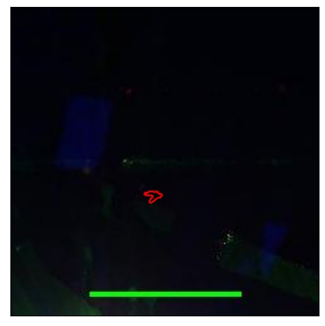 1059_015.0_contour_z