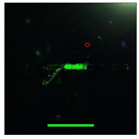 1062_008.0_contour_g