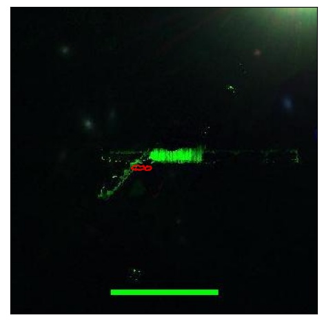 1062_008.0_contour_i