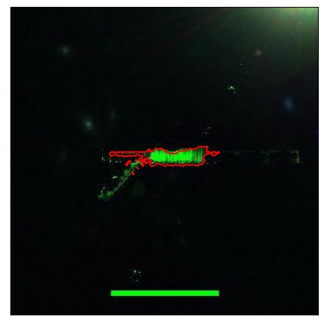 1062_008.0_contour_r