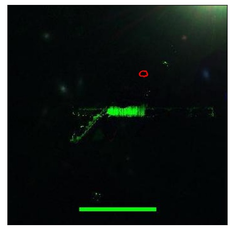 1062_008.0_contour_z