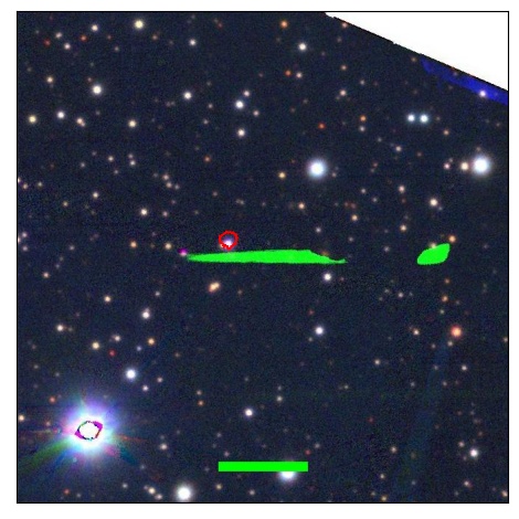 1119_081.0_contour_y