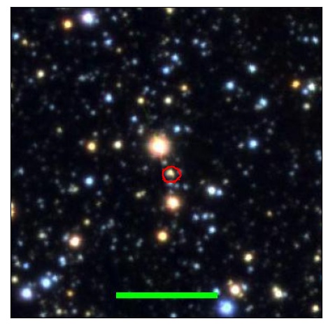 1123_013.0_contour_i