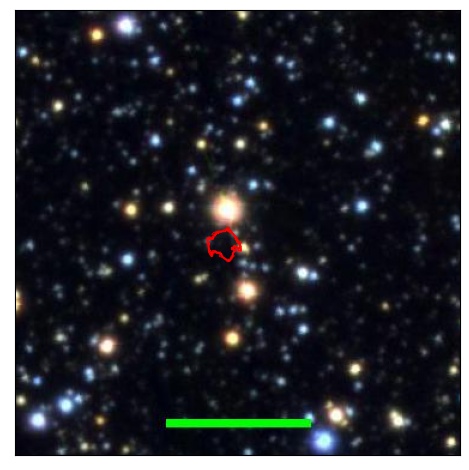 1123_013.0_contour_y