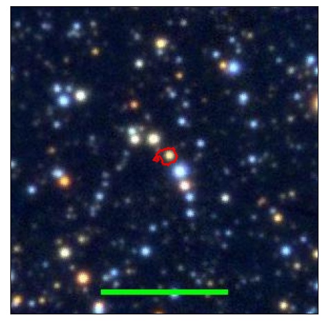 1123_024.0_contour_r