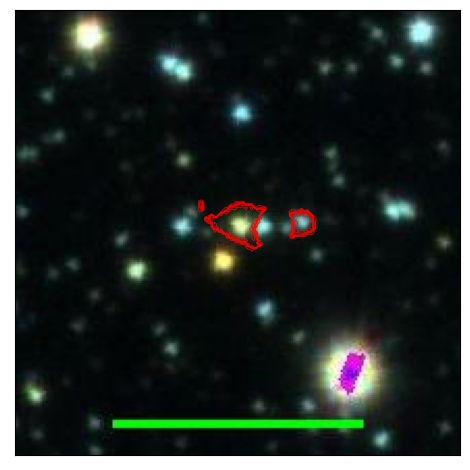 1124_007.0_contour_y