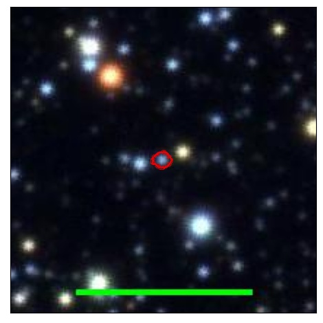 1124_008.0_contour_g