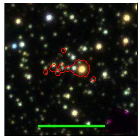 1124_026.1_contour_y