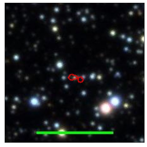 1124_028.1_contour_y