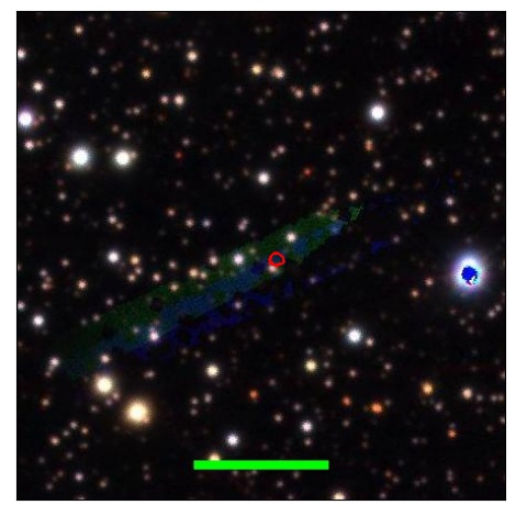 1124_040.0_contour_y