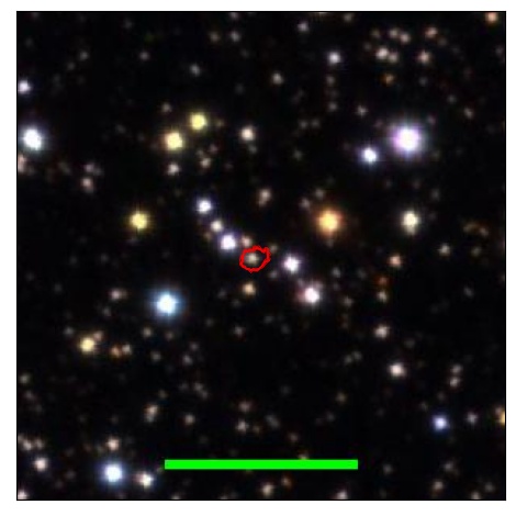 1124_042.0_contour_r