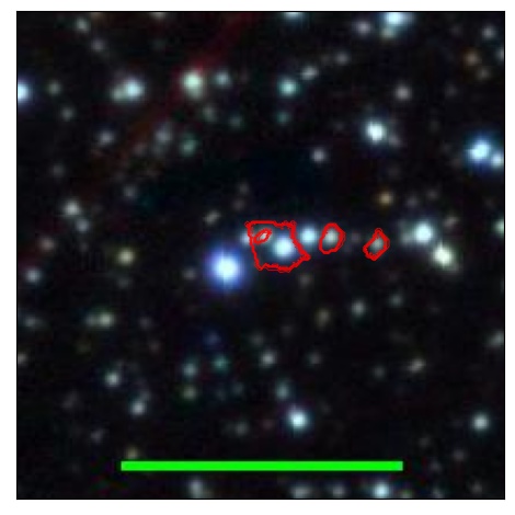 1124_053.1_contour_r