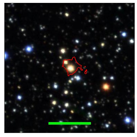 1124_055.0_contour_y