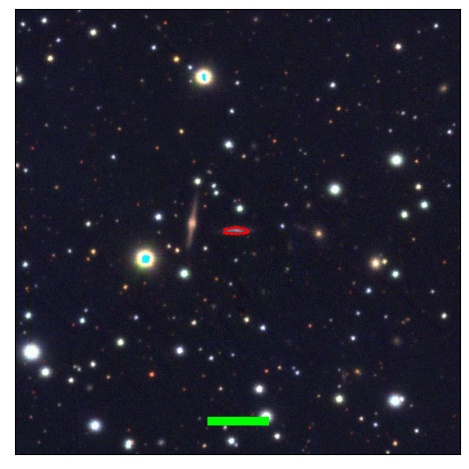 1128_036.1_contour_g