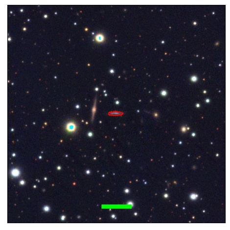 1128_036.1_contour_r