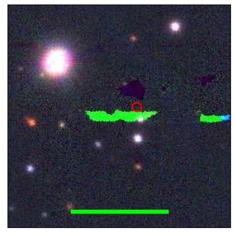 1130_007.0_contour_g