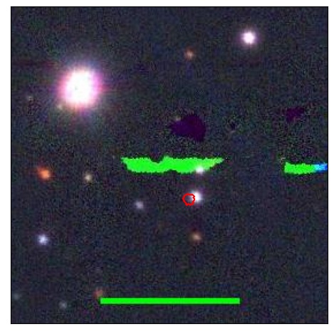 1130_007.0_contour_y