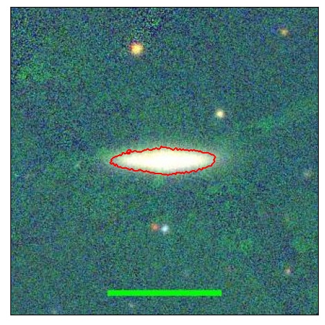 1133_010.0_contour_g