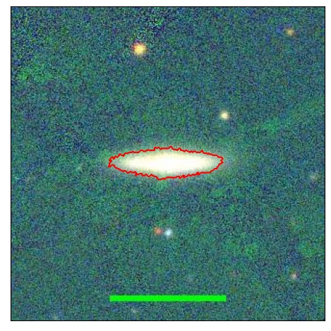 1133_010.0_contour_r