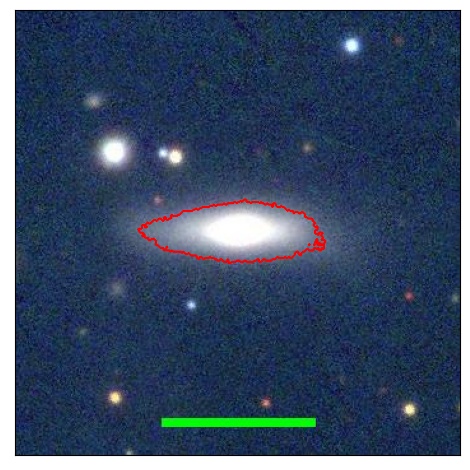 1133_077.1_contour_r