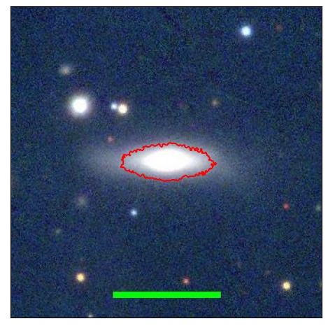 1133_077.1_contour_y