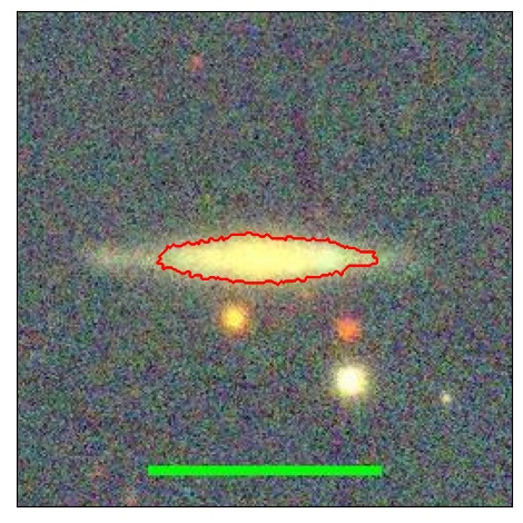 1135_031.0_contour_r