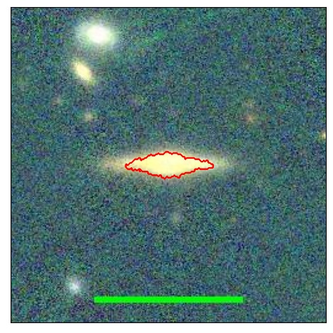 1135_037.1_contour_y