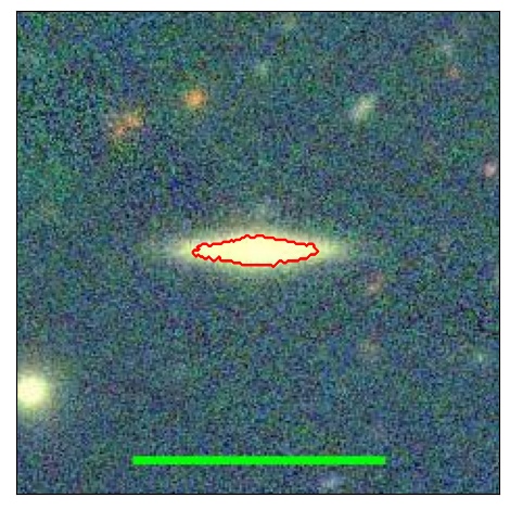 1136_040.1_contour_y