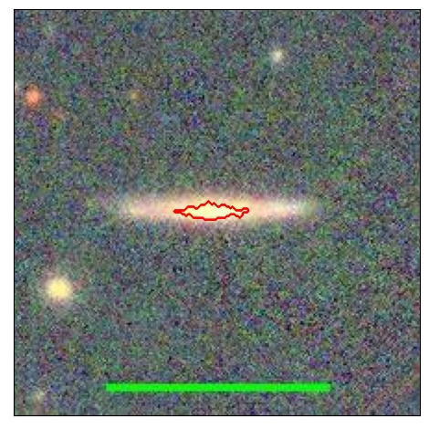 1137_004.1_contour_y