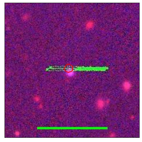 1137_036.0_contour_g