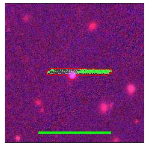 1137_036.0_contour_r