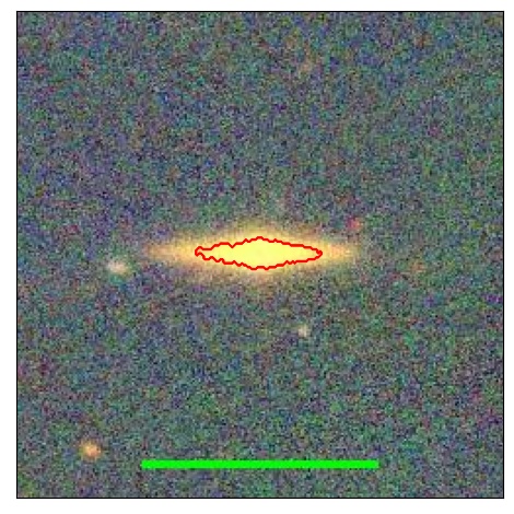 1137_037.1_contour_y